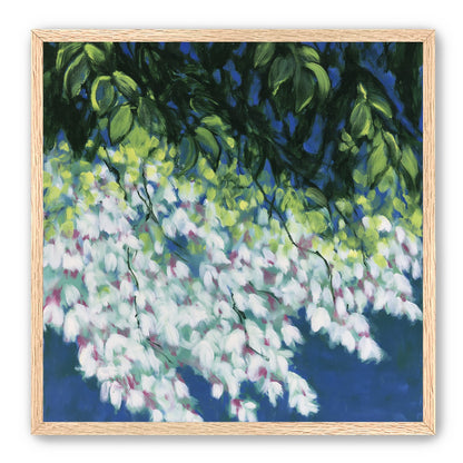 White blossoms in blue shade
