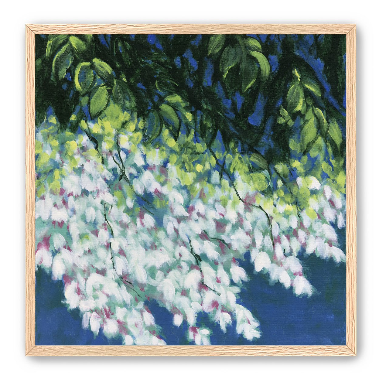 White blossoms in blue shade