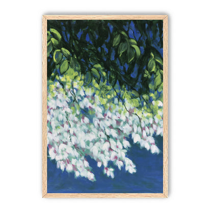 White blossoms in blue shade