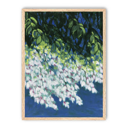 White blossoms in blue shade