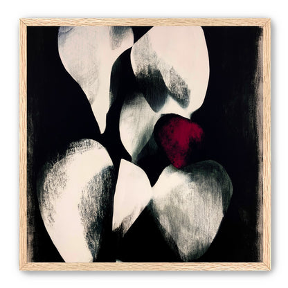 Red petal in shadowed bloom