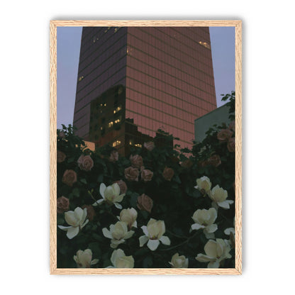 Pink tower above magnolias