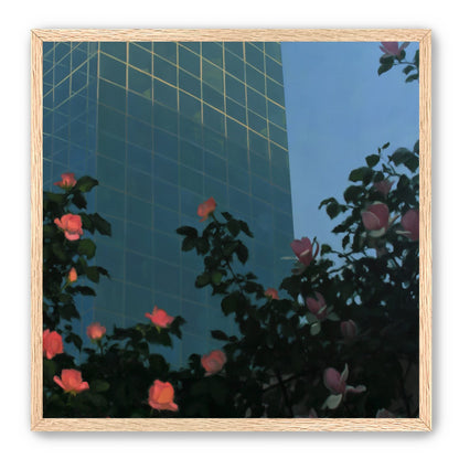 Roses beneath blue towers