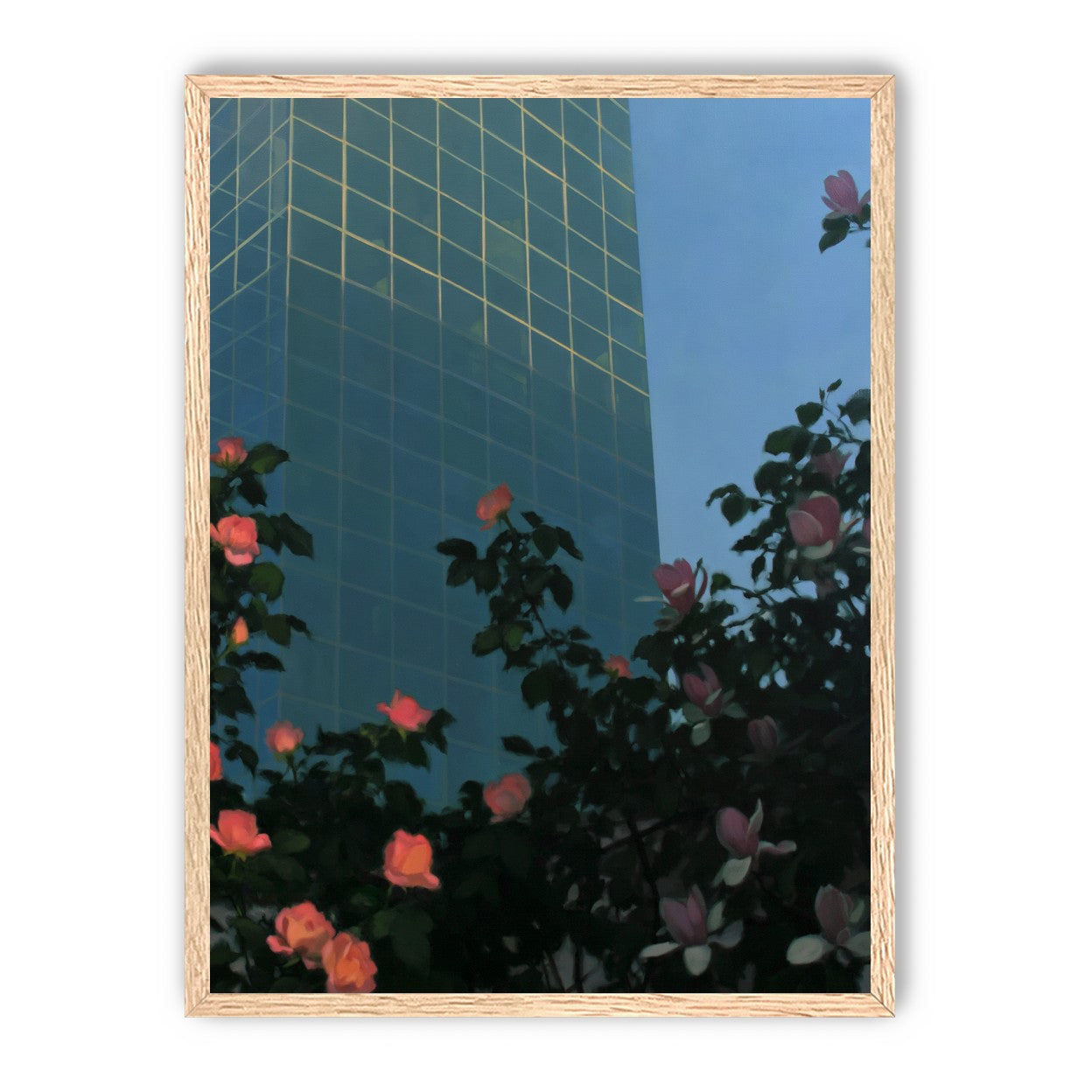 Roses beneath blue towers