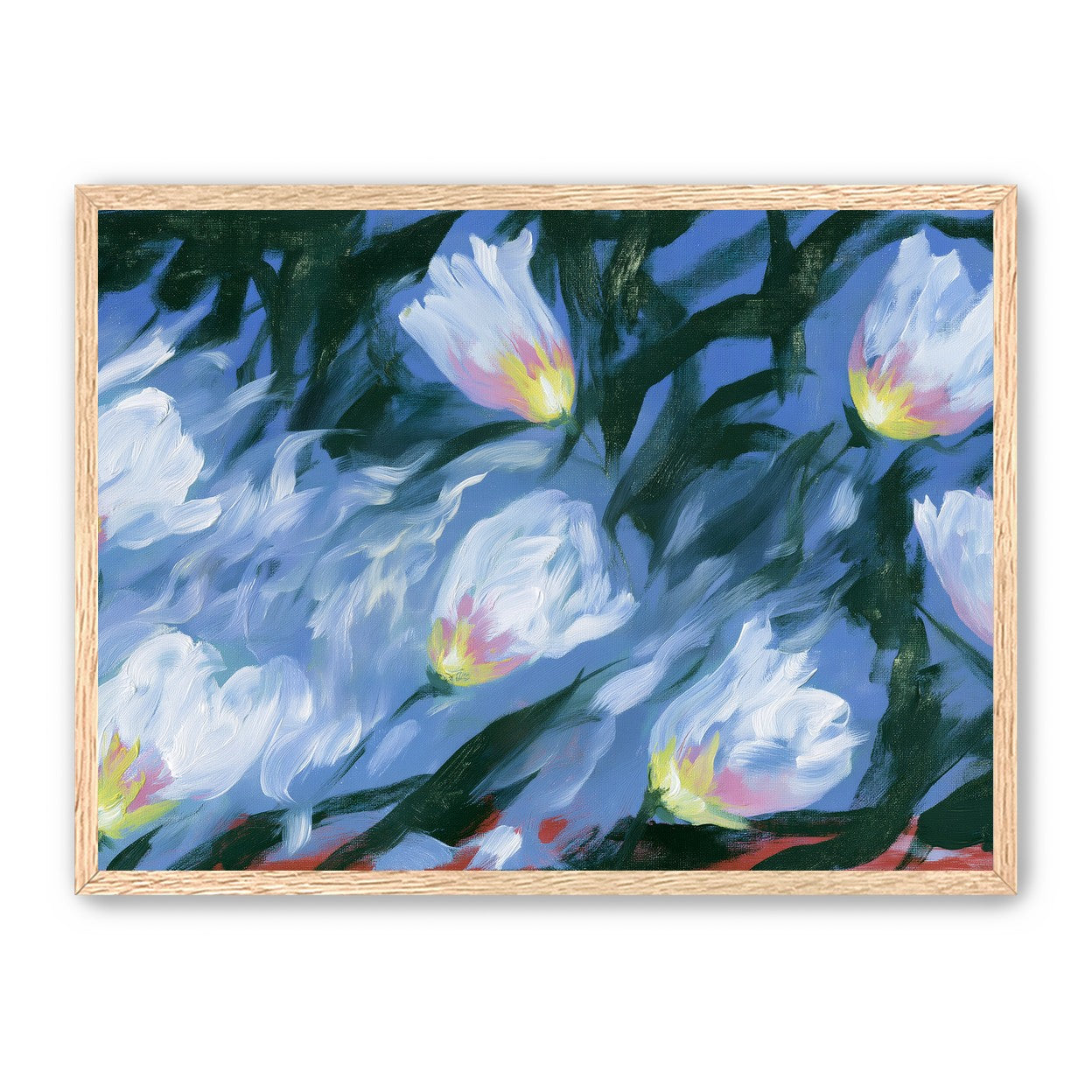 White tulips on blue ground
