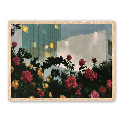 Roses under office lights