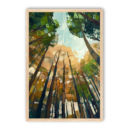 Canopy Lightfall
