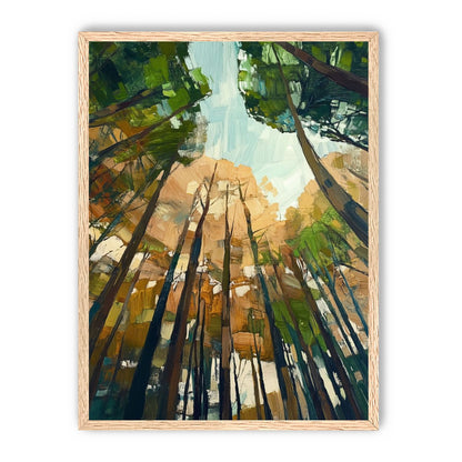 Canopy Lightfall
