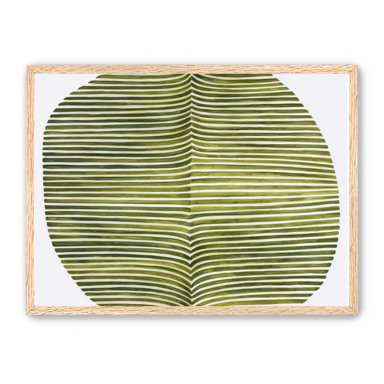 Dark green stripes crease inward