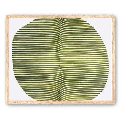 Dark green stripes crease inward