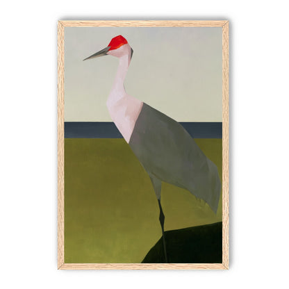 Red crown crane at the shore