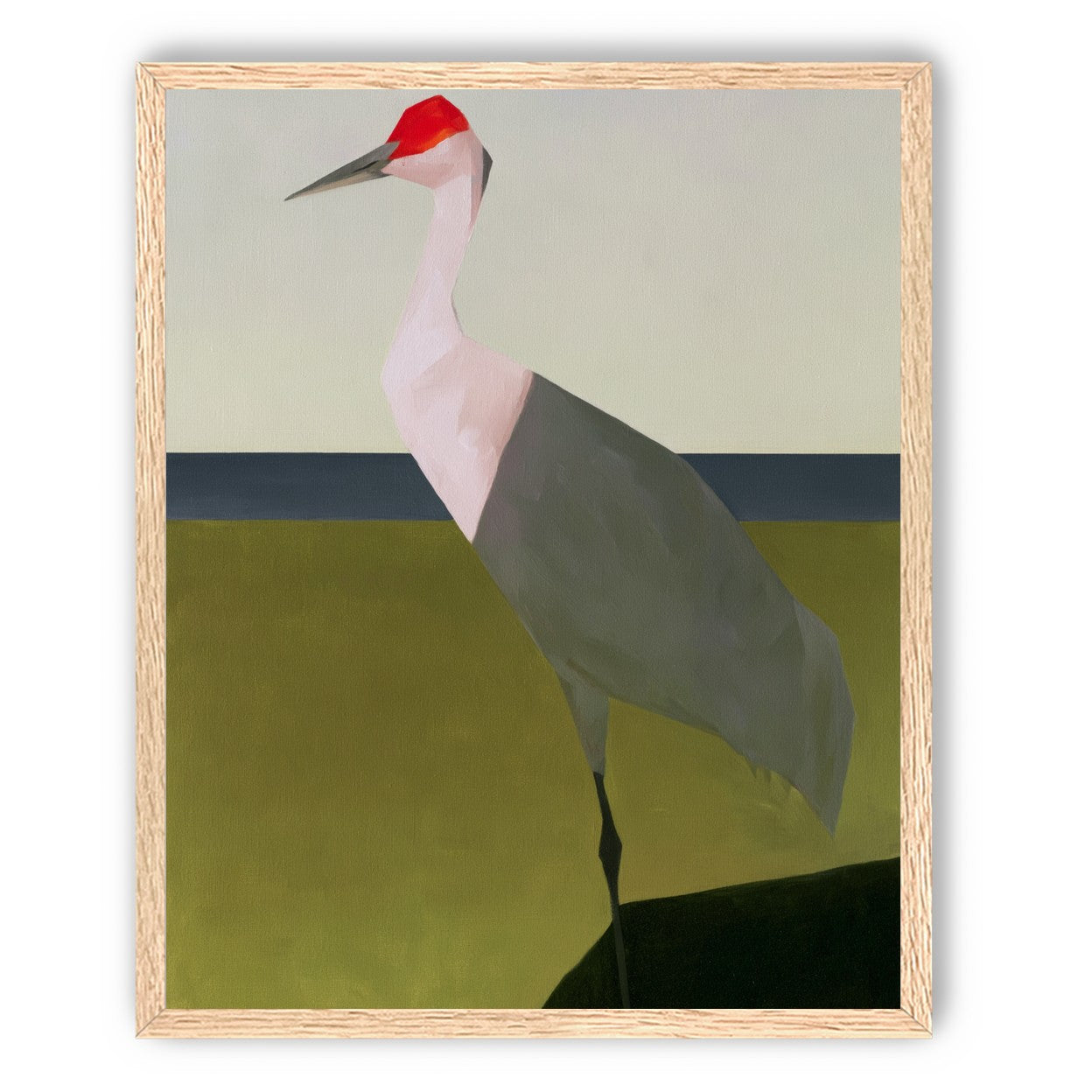 Red crown crane at the shore