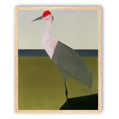 Red crown crane at the shore