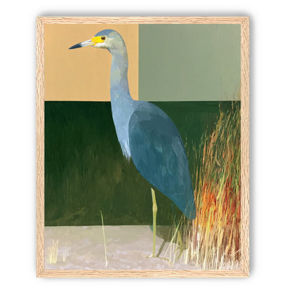 A heron beside the reeds
