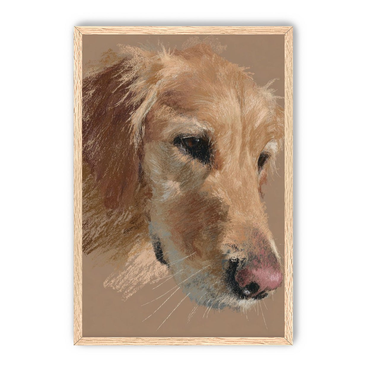 Warm browns on a golden retriever