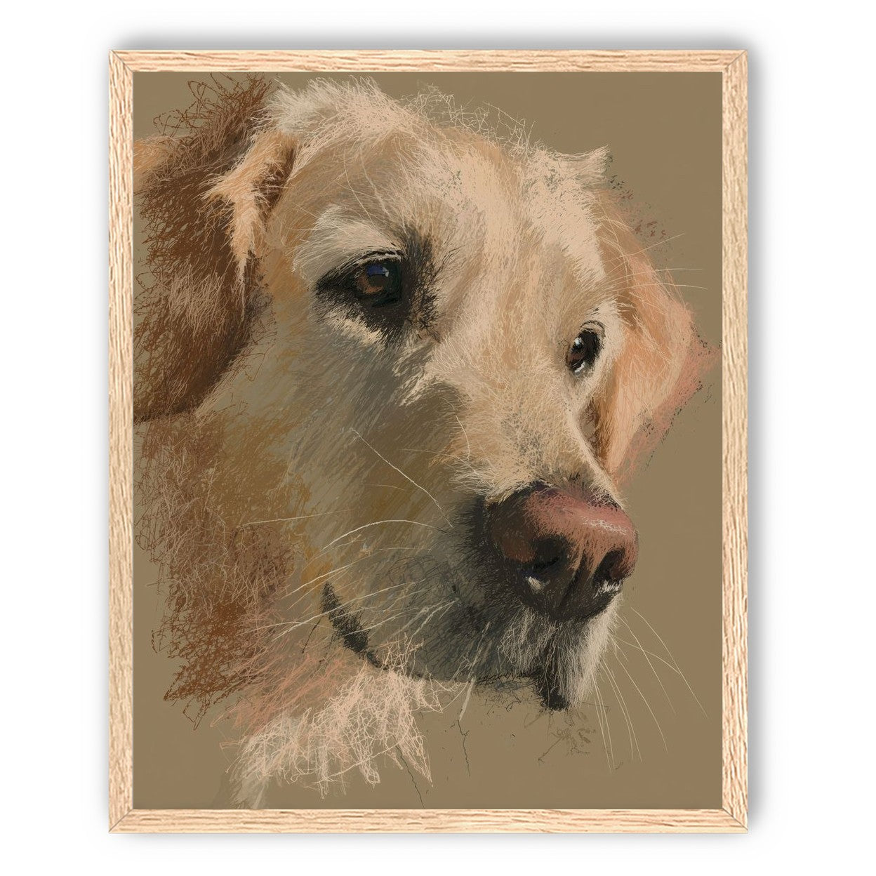 Warm fur in brown quietness