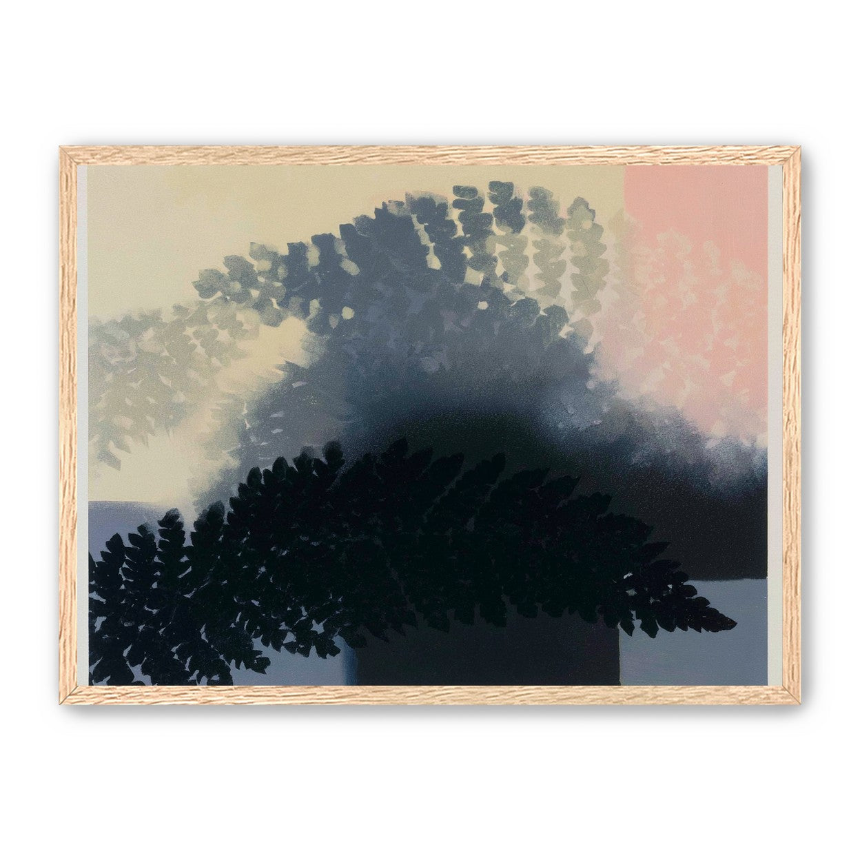 Tree shadow across the sky