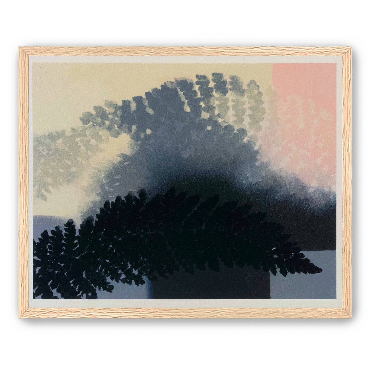 Tree shadow across the sky