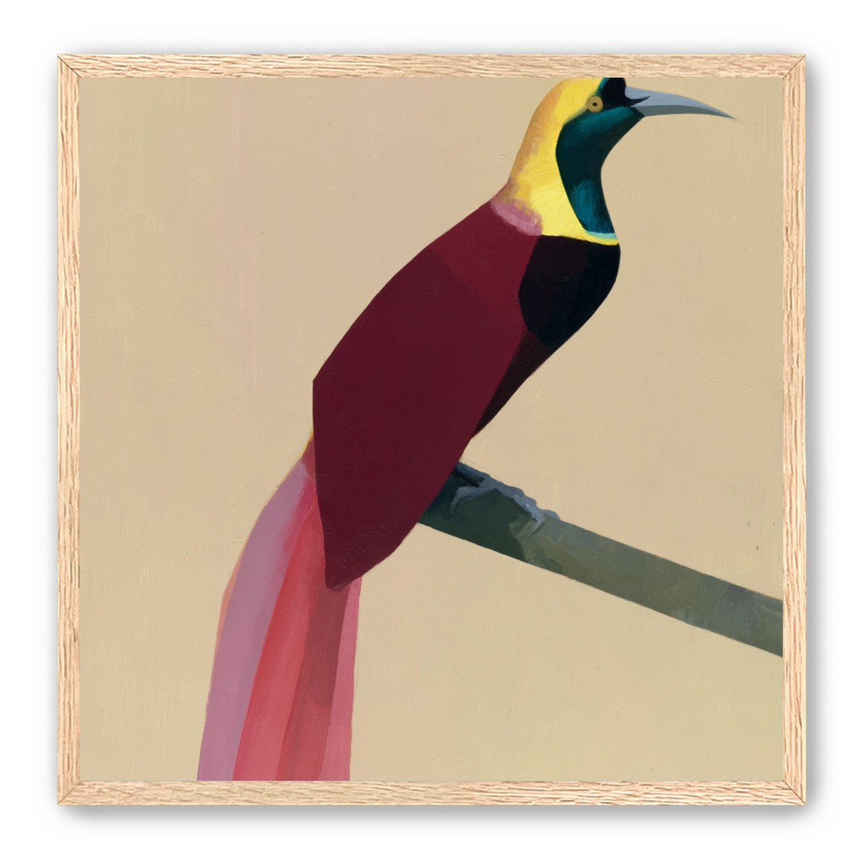 A bright bird on a branch