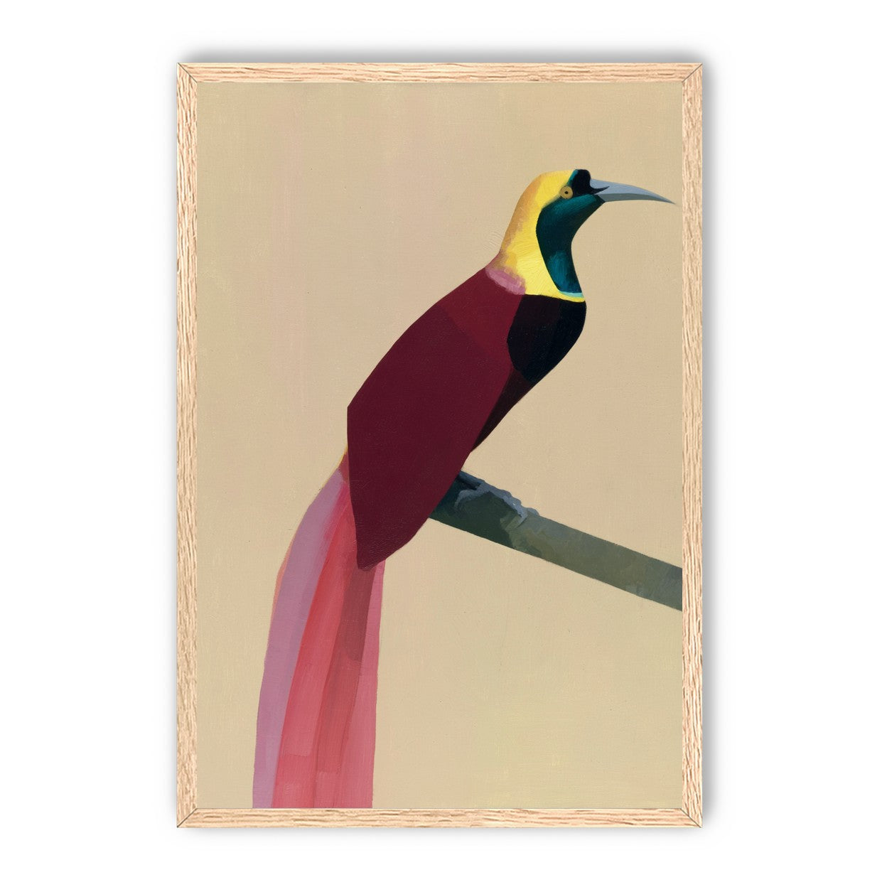 A bright bird on a branch