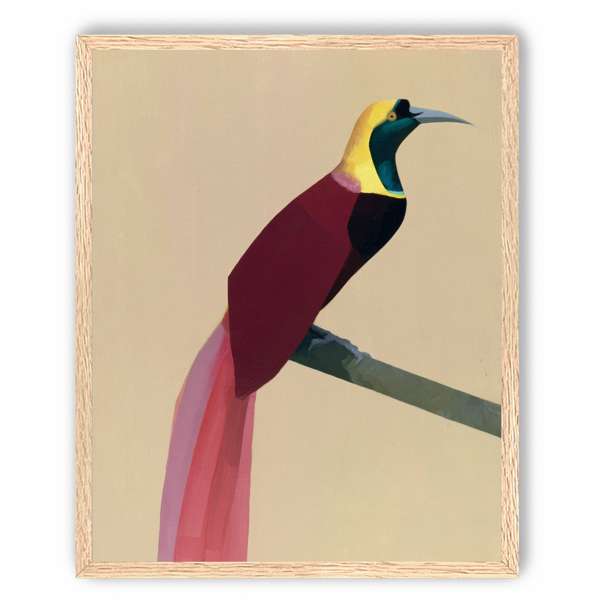 A bright bird on a branch