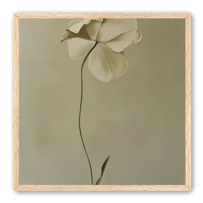 One flower leaning into quiet