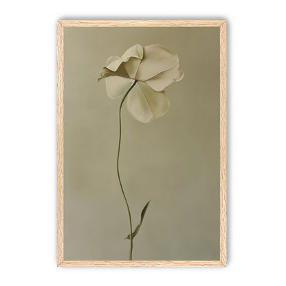One flower leaning into quiet
