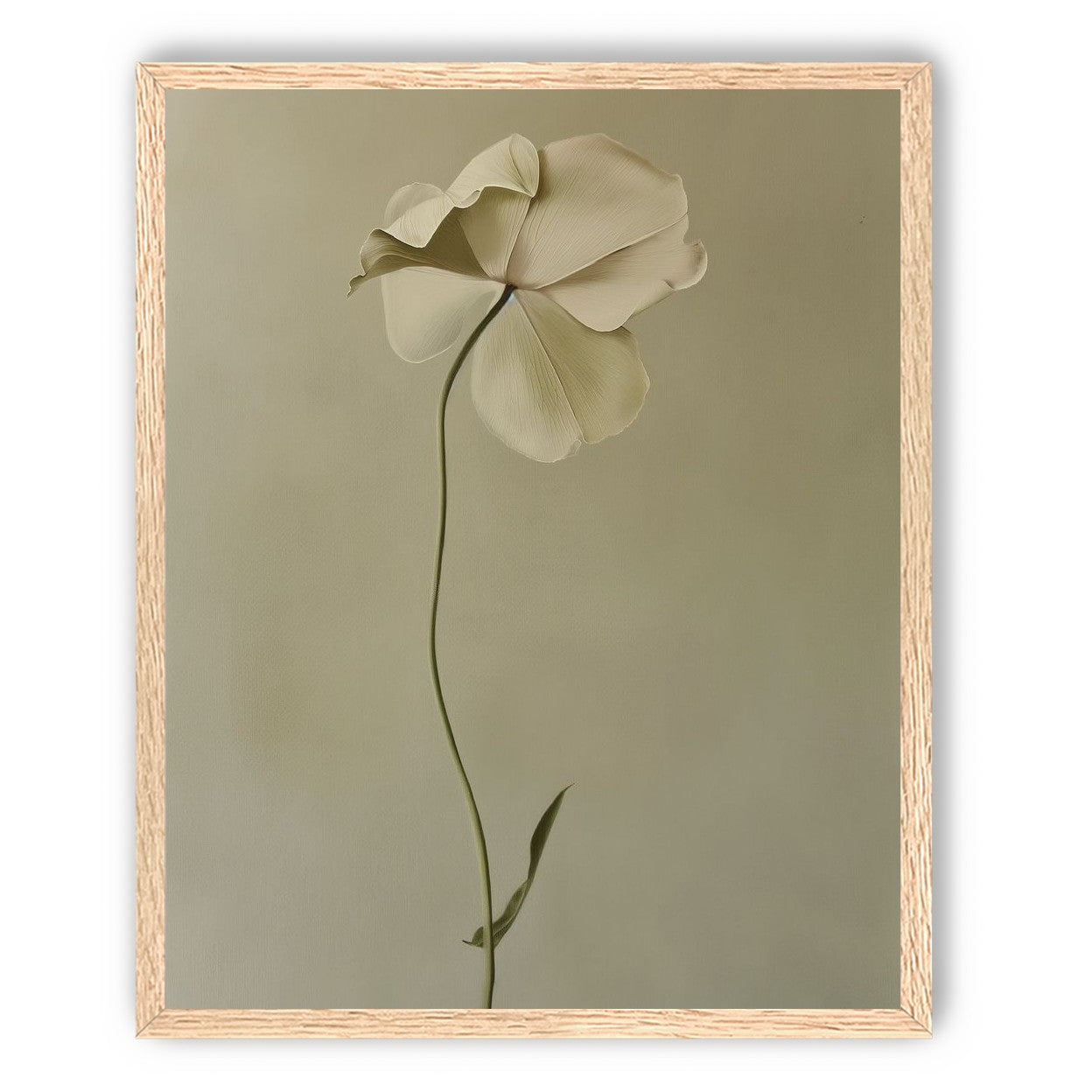 One flower leaning into quiet