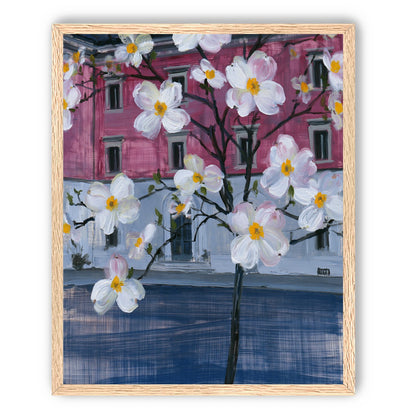 White blossoms over the pink house