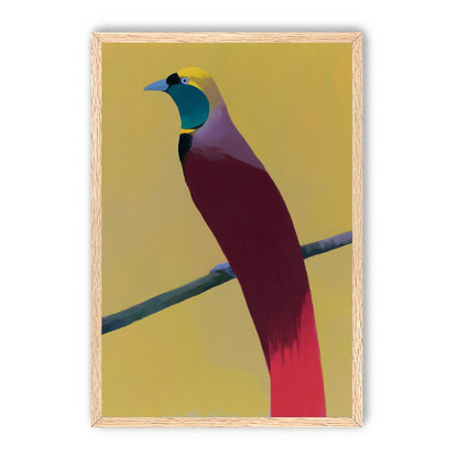 A bright bird on yellow