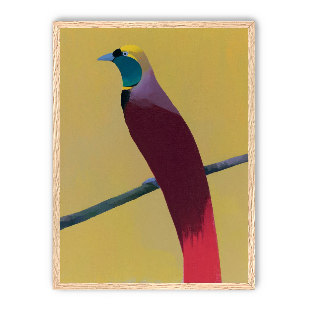 A bright bird on yellow