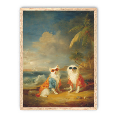 Sunglasses cats on the beach