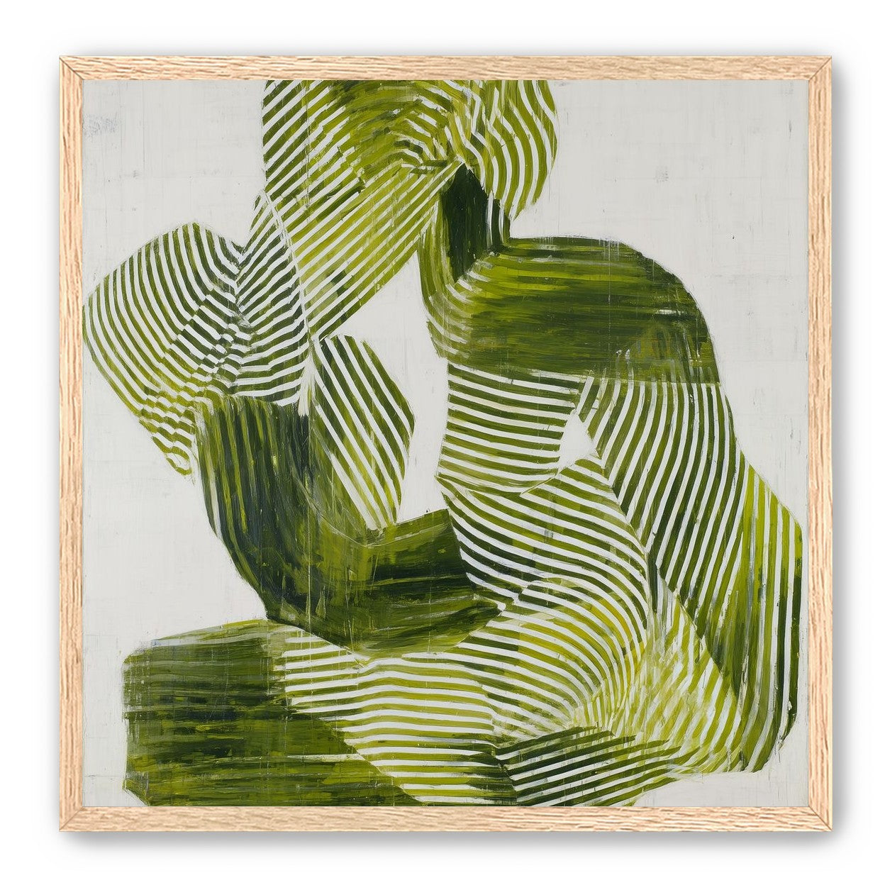 Olive stripes in repose