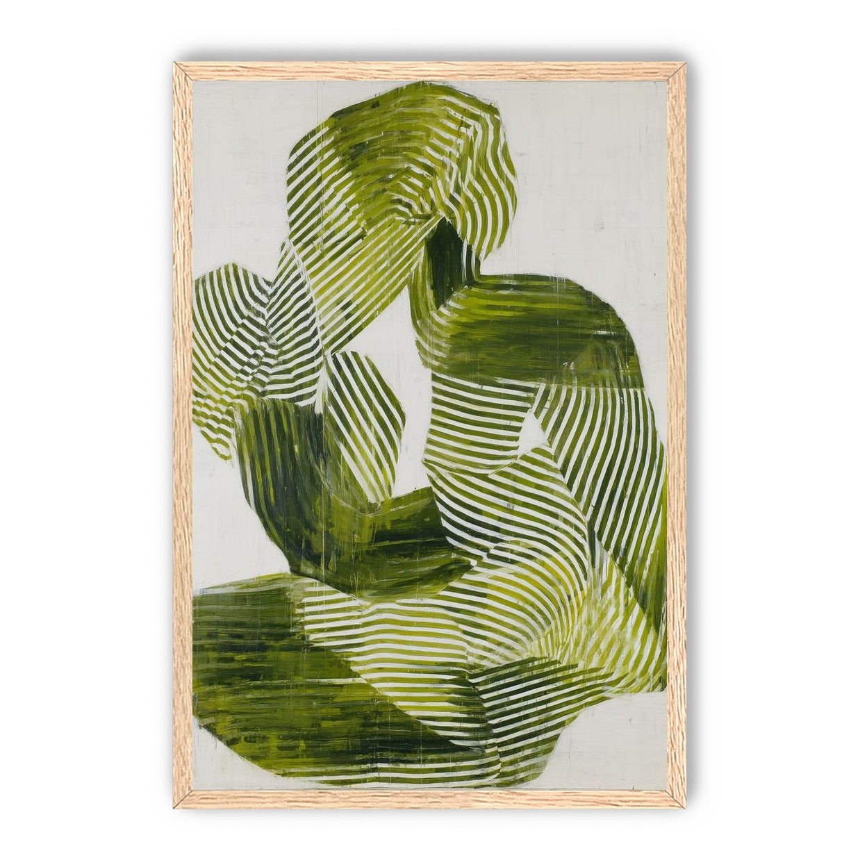 Olive stripes in repose