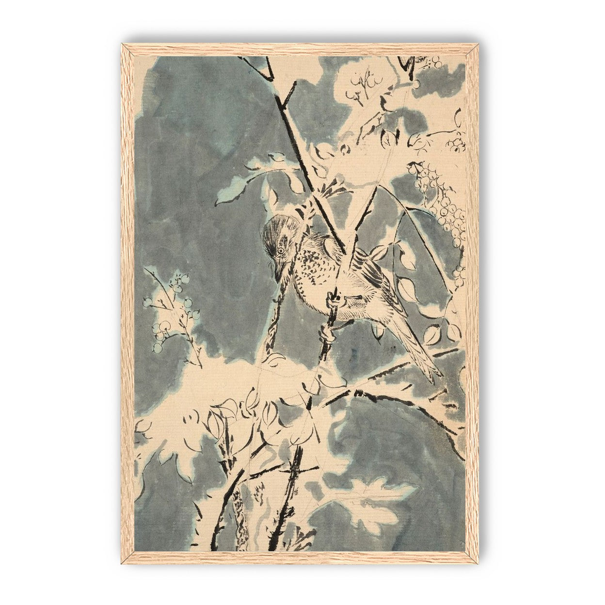 Quiet bird in berry branches