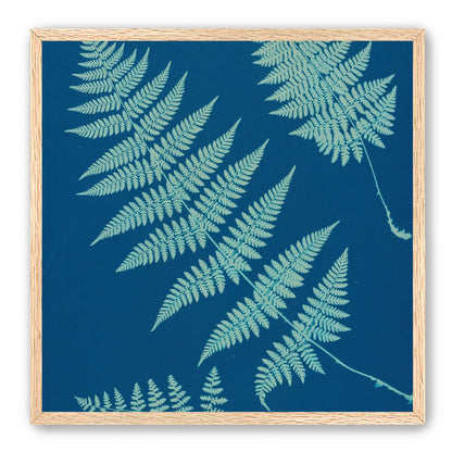 Pale ferns in deep blue