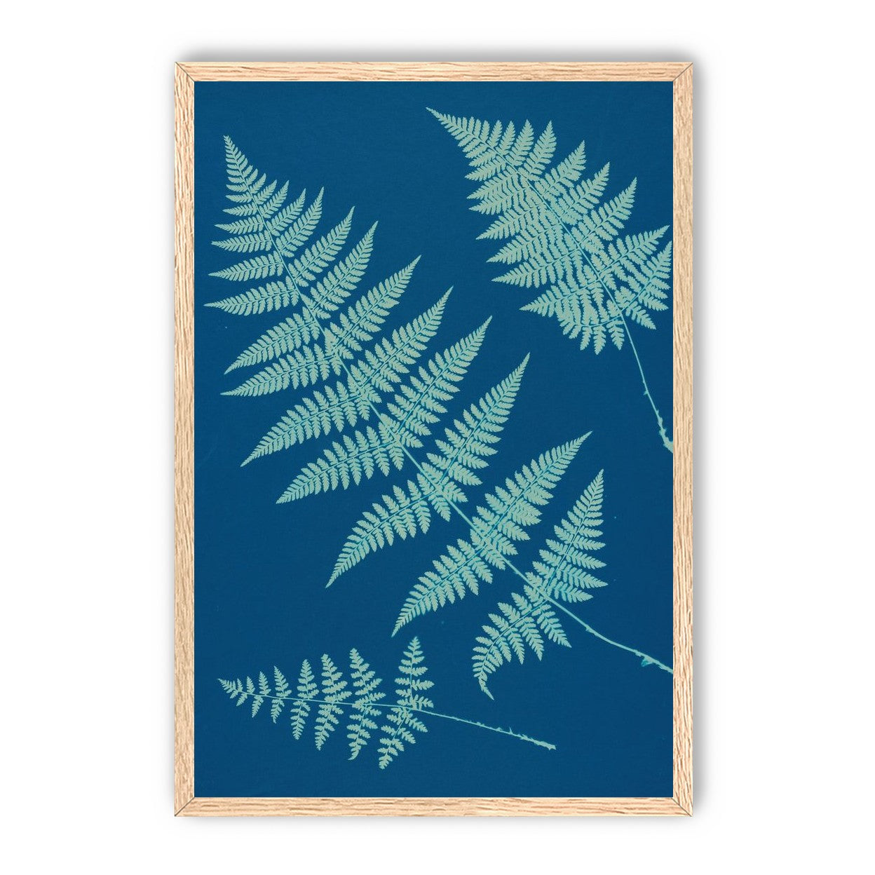 Pale ferns in deep blue