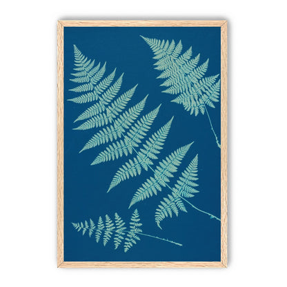 Pale ferns in deep blue