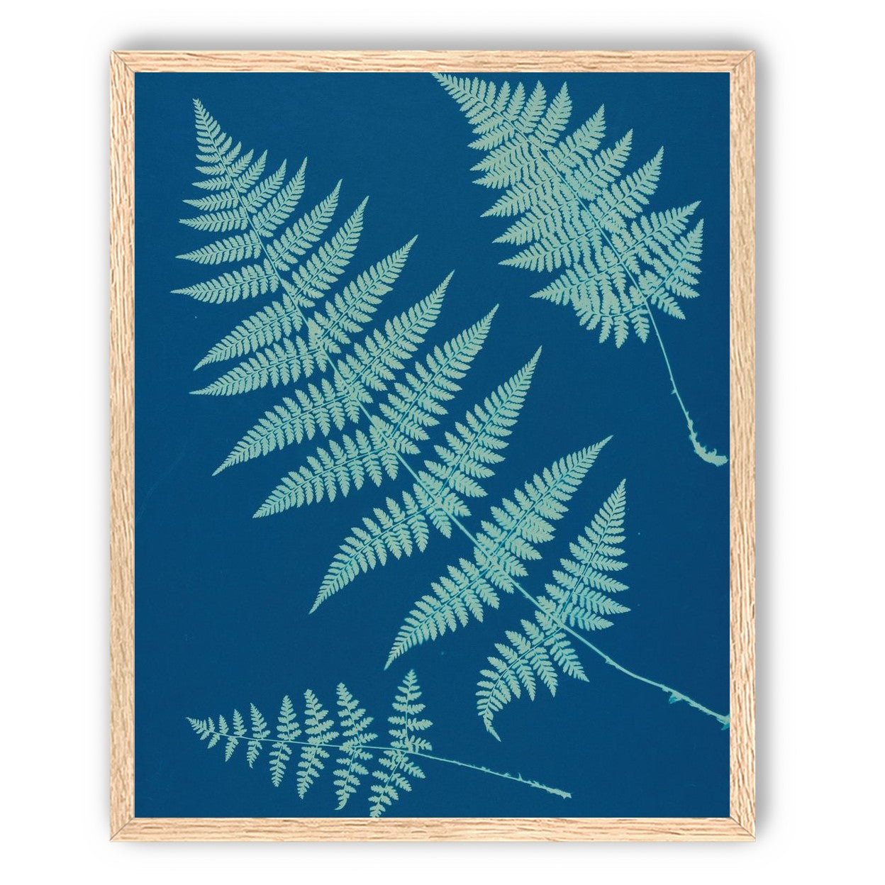 Pale ferns in deep blue