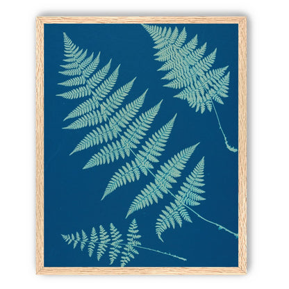 Pale ferns in deep blue