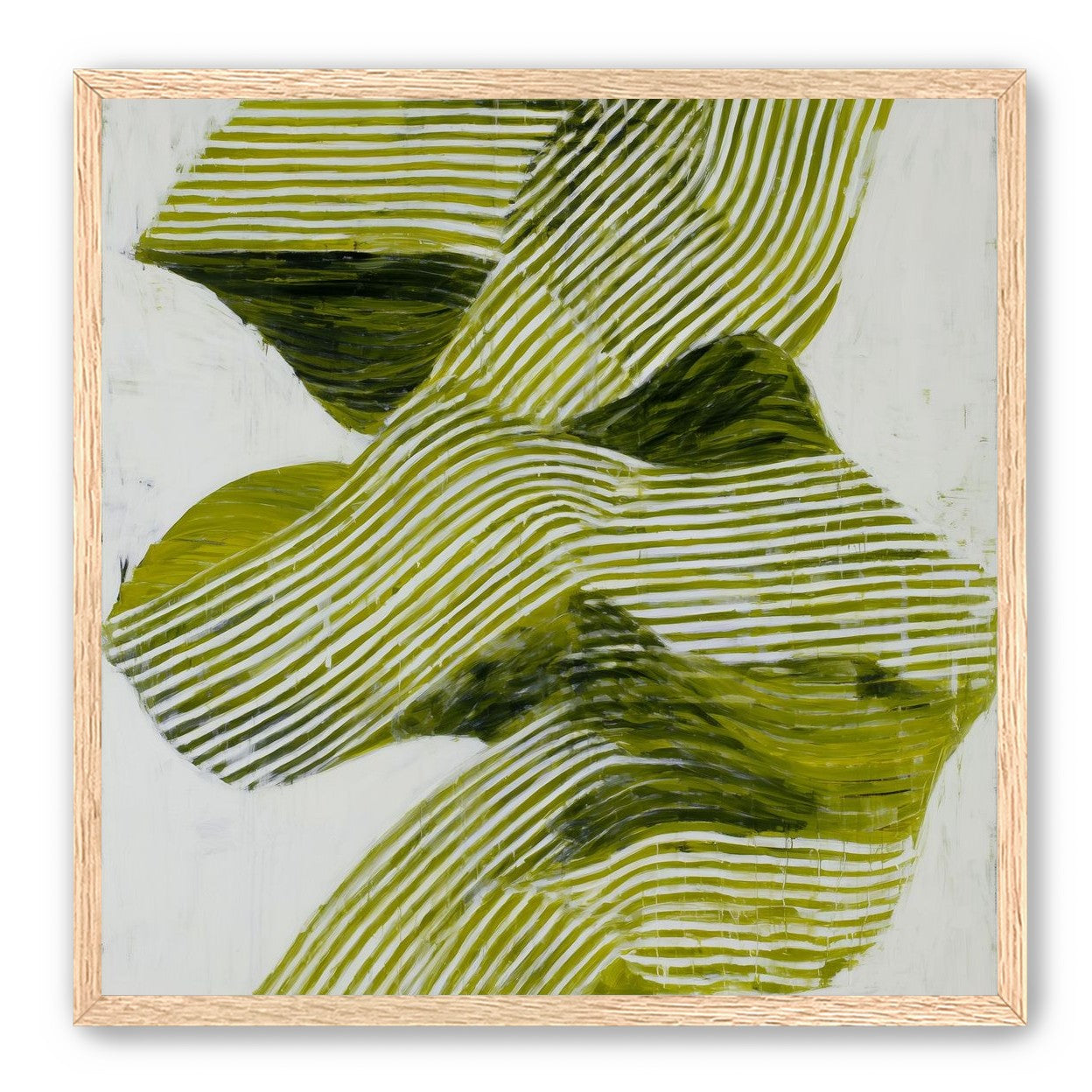 Olive stripes across white