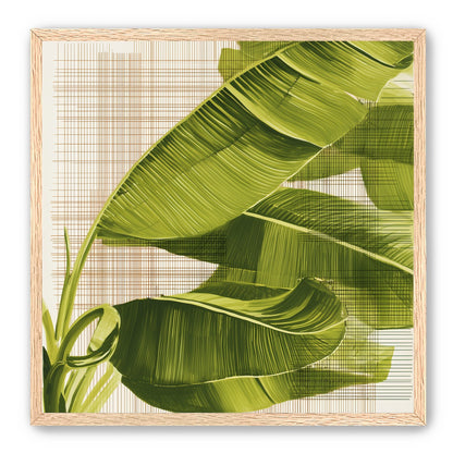 Banana leaves against the grid
