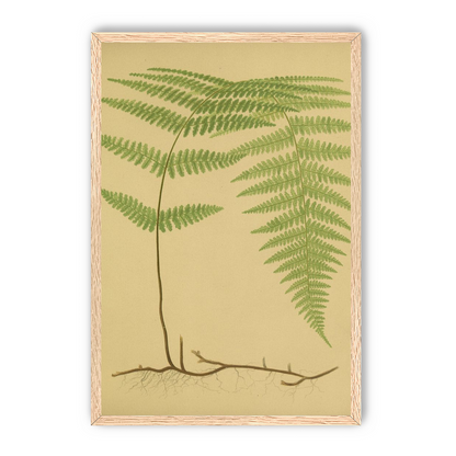 Green frond on tan paper