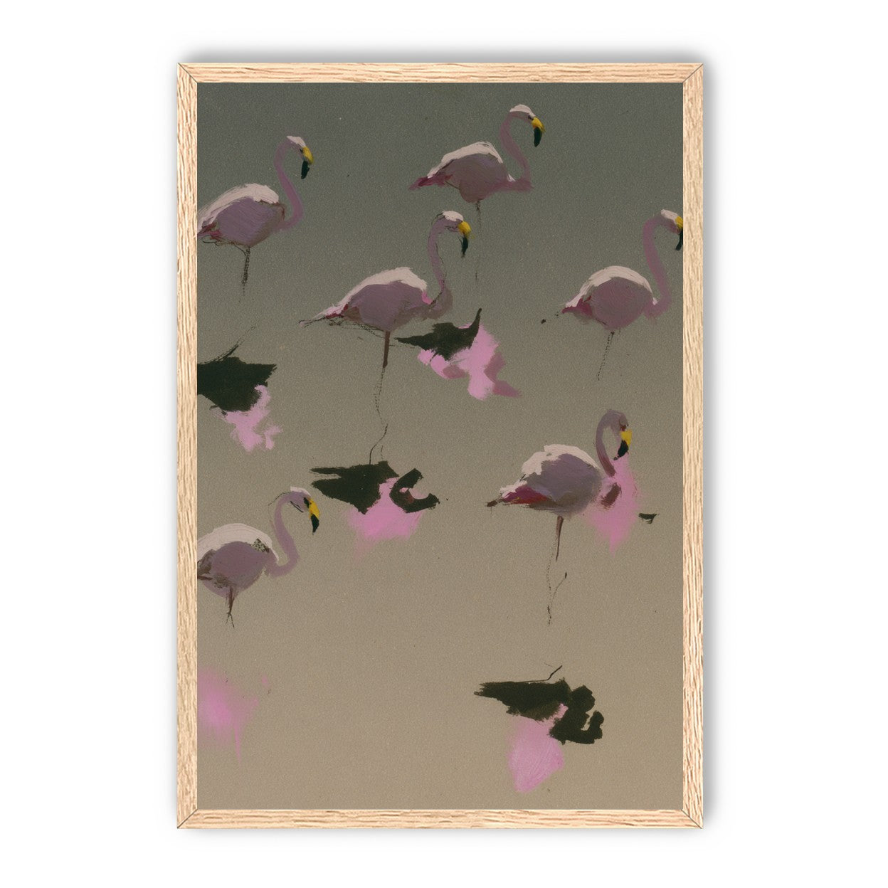Flamingos in still water
