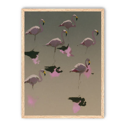 Flamingos in still water