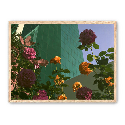 Roses climbing the glass wall