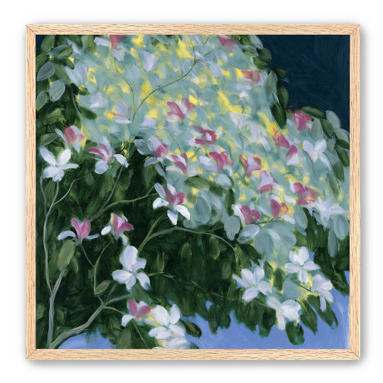 Blossoms across the night sky