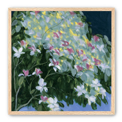 Blossoms across the night sky