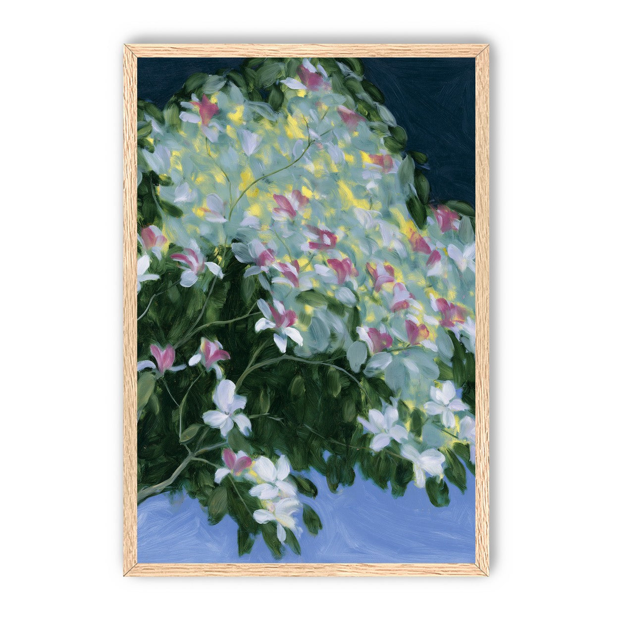 Blossoms across the night sky