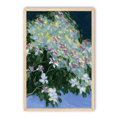 Blossoms across the night sky
